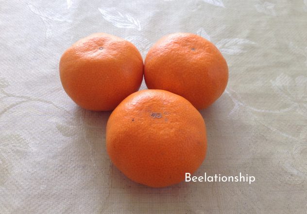 Satsuma Mandarin
