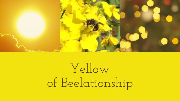 Yellow of Beelationship