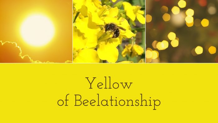 Yellow of Beelationship