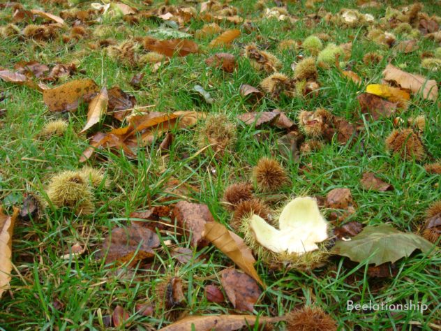 Kengington Gardens_003