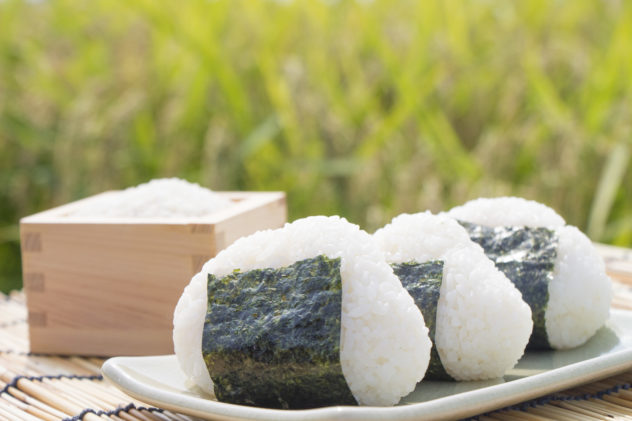 rice balls and ears of rice
